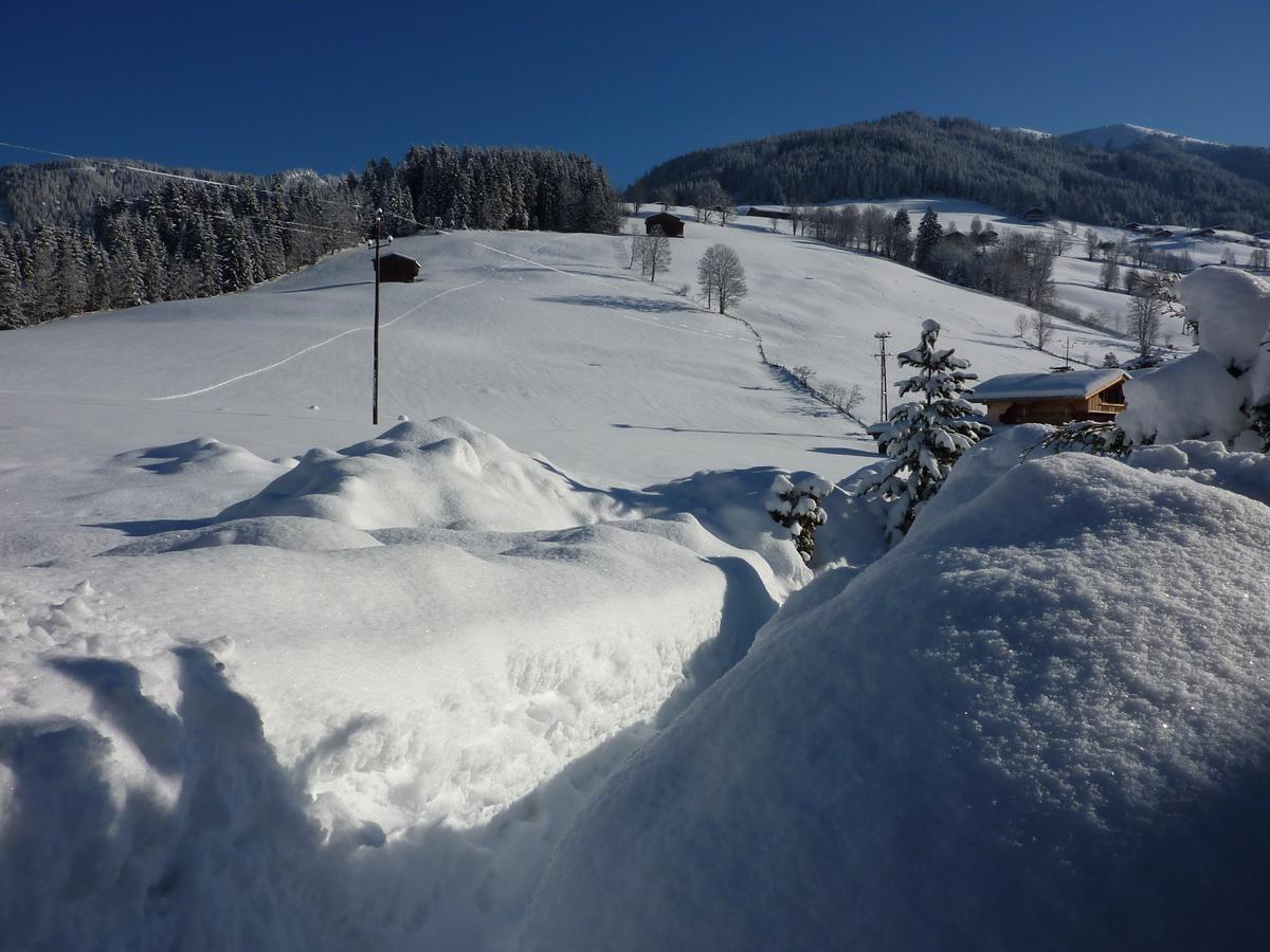 Appartements Stoffenhof Alpbach Εξωτερικό φωτογραφία